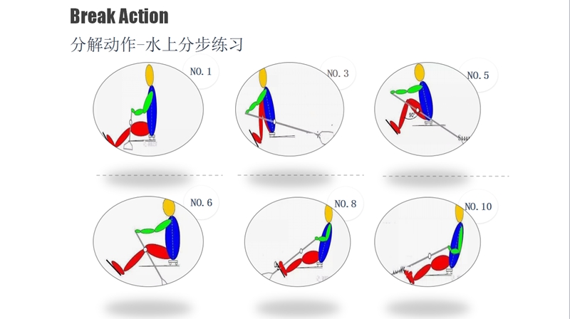 分享知识和培养友谊